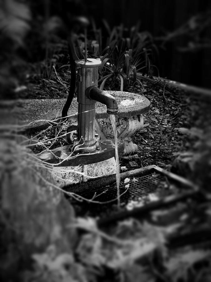 Enchanted Escape Picton Esterno foto