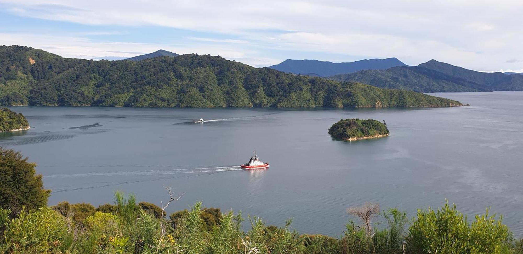 Enchanted Escape Picton Esterno foto